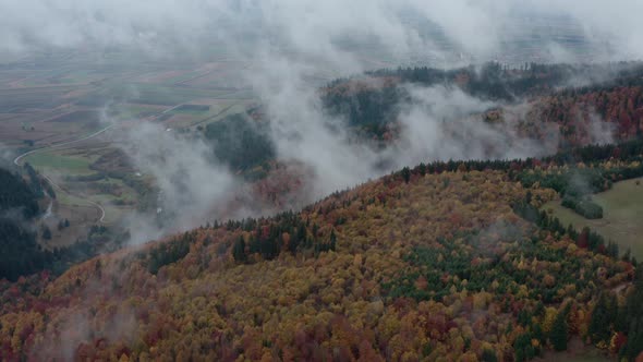 Colorful forest shrouded in mist and clouds with distant valley, drone shot