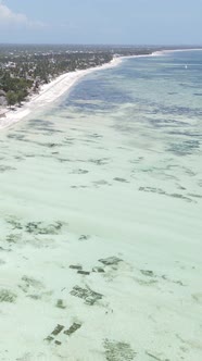 Vertical Video of Low Tide in the Ocean Near the Coast of Zanzibar Tanzania