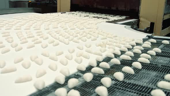 Rows of Delicious Fresh Candies Lying on Conveyor Belt in Huge Confectionery Factory.