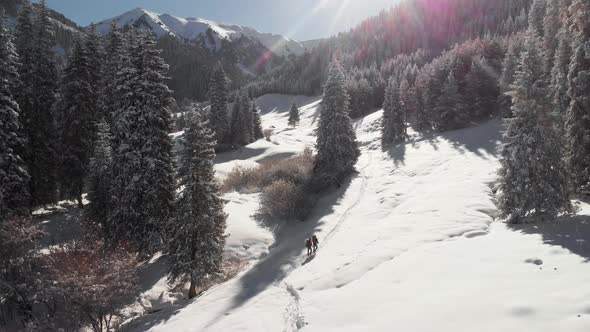 Aerial Landscape of Beautiful Winter Mountains