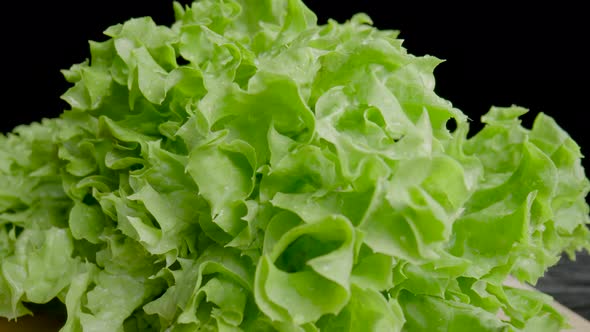 Wet Juicy Green Lettuce Leaves on Dark Table