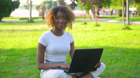 Young African American Woman Using Laptop Computer in Park. Remote Work Concept