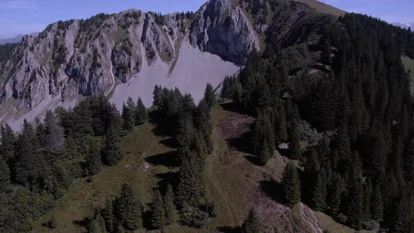 Aerial Flight Over The Mountain Revealing a Fir Forest