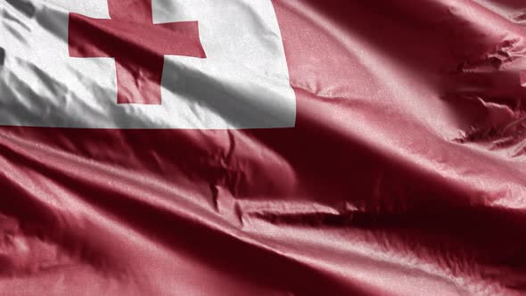 Tonga textile flag waving on the wind. Slow motion. 20 seconds loop.