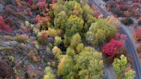 Aerial view of road following river through forest in Fall