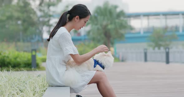 Woman play with Pomeranian dog