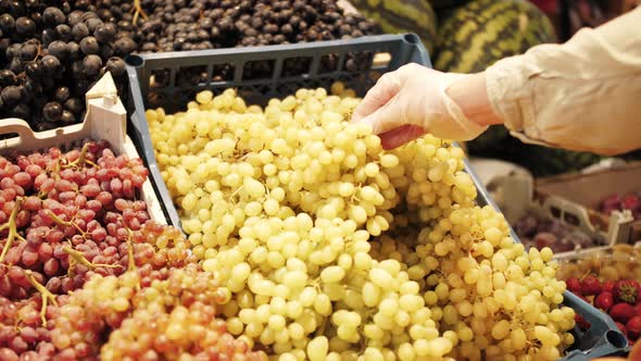 Vendor or customer in gloves chooses grapes. Close-up shot of hand with fruits. Organic fruits.