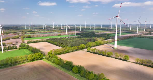 Aerial tilt up view of tulip field and wind farm, Flevoland, Netherlands