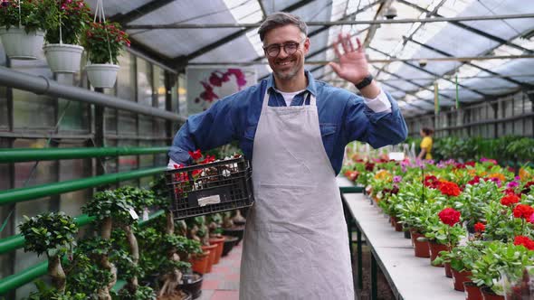 Happy grey haired florist man waving at the camera with box of flowers in hands