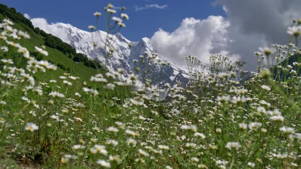 Snowy Caucasus Mountains, Touched By Picturesque Gray Clouds. Green Meadows and Forest on the