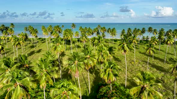 Sao Miguel dos Milagres Beach at Alagoas state Brazil. Brazilian Northeast.