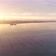 Oyster Farm in Sunrise - VideoHive Item for Sale