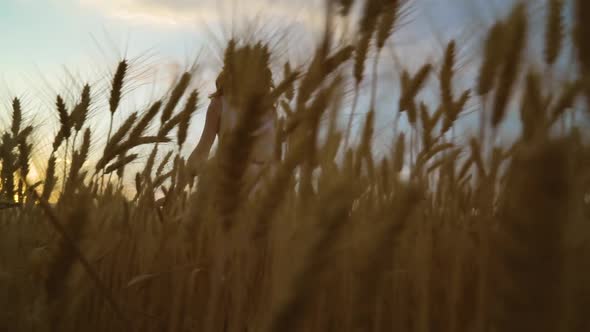 Cheerful Redhead Girl Walking in Wheat Field at Dusk