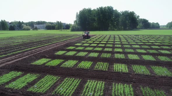 Different sorts of cereals on test plots