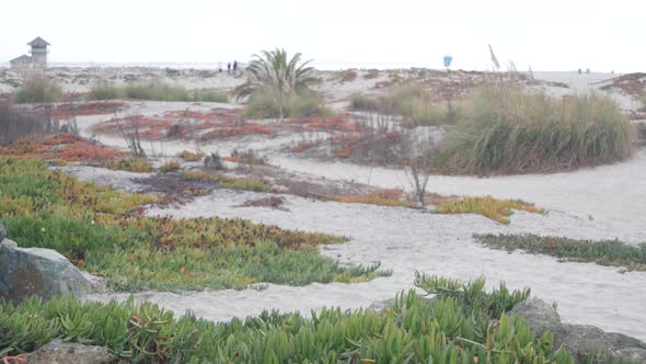 Sand Dunes of Misty Coronado Beach Ocean Waves in Fog California Coast USA