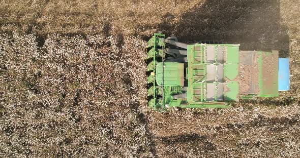 Aerial view of combine picking cotton, Kibbutz Saar, Mate Asher, Israel.