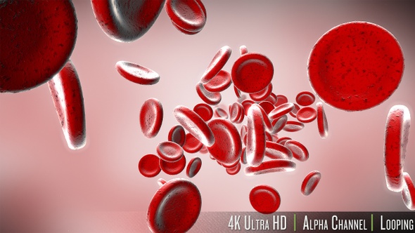 4K Stream Of Red Blood Cells In Front alt