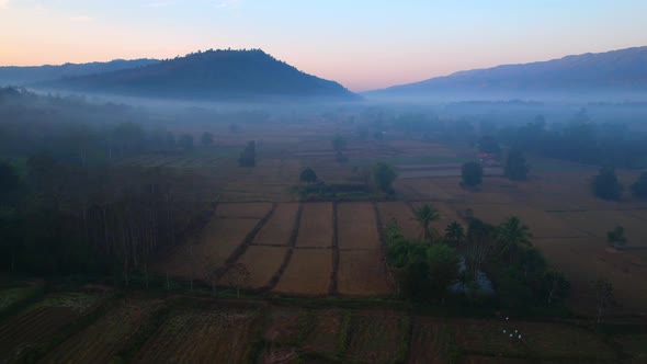 Aerial view from a drone over misty landscape on farmland. 4K