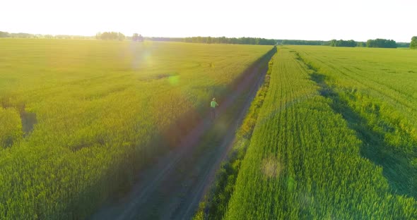 Aerial View on Young Boy, That Rides a Bicycle Thru a Wheat Grass Field on the Old Rural Road