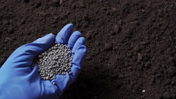 Mineral Fertilizer in Hand