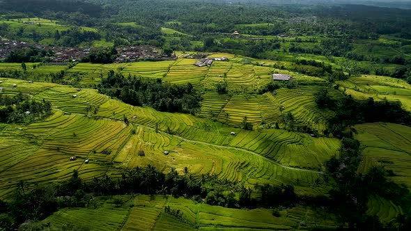 Amazing Rice Terraces in Asia