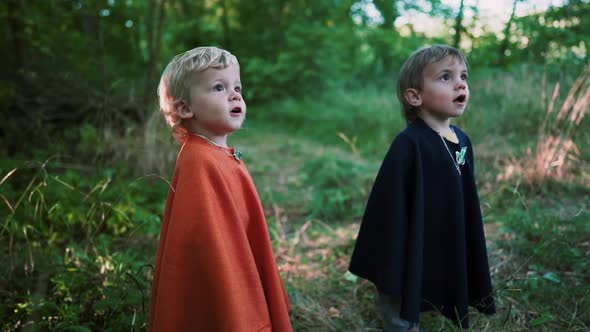 Two Little Toddler Boys Cosplay Gnomes or Hobbits in Long Capes Smiling Sincerely Magically Falling