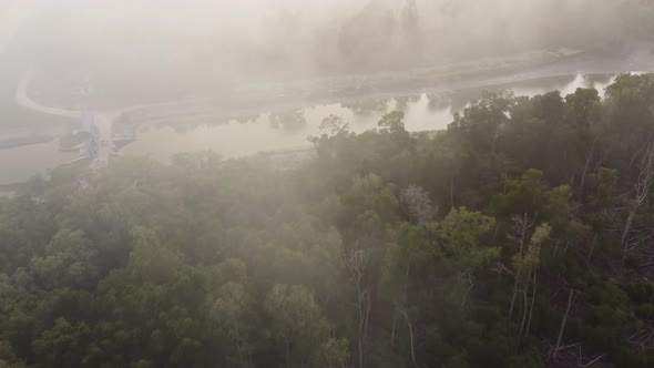 Fume release from burning at mangrove forest