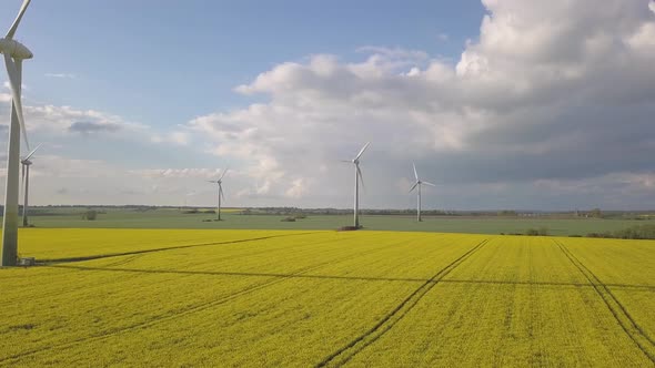 Yellow canola field with wind mills turbines running fast 4K