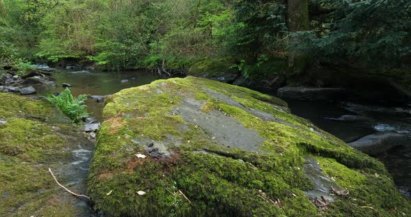 Gorge of Daoulas, Cotes d Armor department, Brittany in France