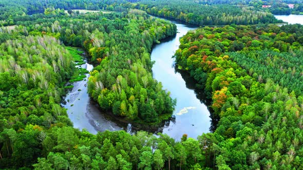 Aerial view of colorful forest and curvy river in autumn