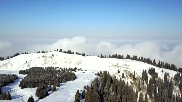 View of Snowy Mountains and Forest