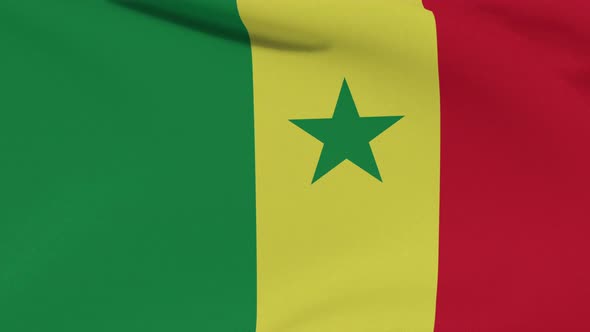 Flag Senegal Patriotism National Freedom Seamless Loop