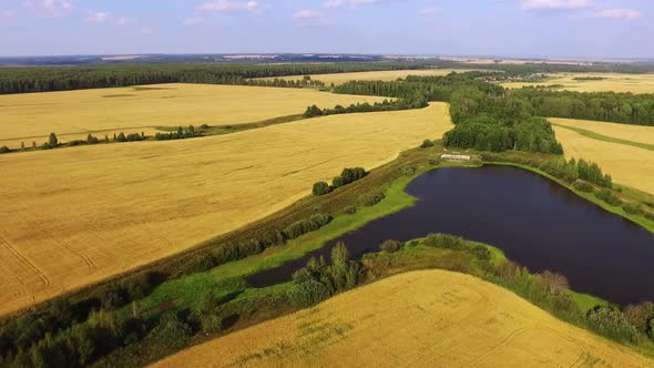 Wheat Field Drone 09