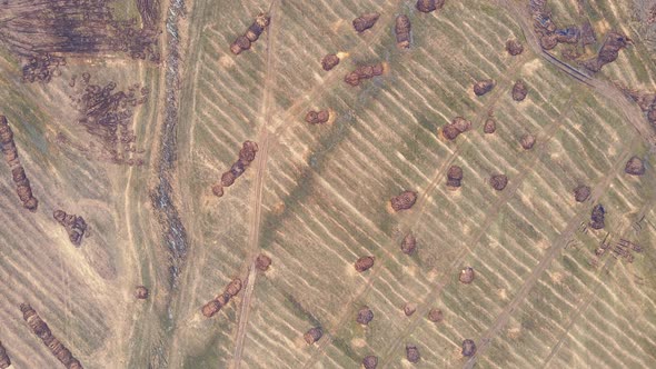 Everywhere Round Heaps of Manure on an Agricultural Field Aerial View