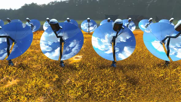 Solar Panel Dish Farm