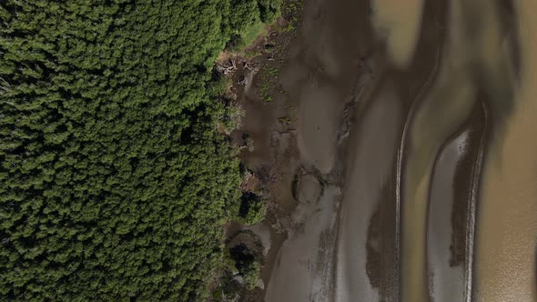 Straight down motion drone shot of sandy coast of Rio de la Plata