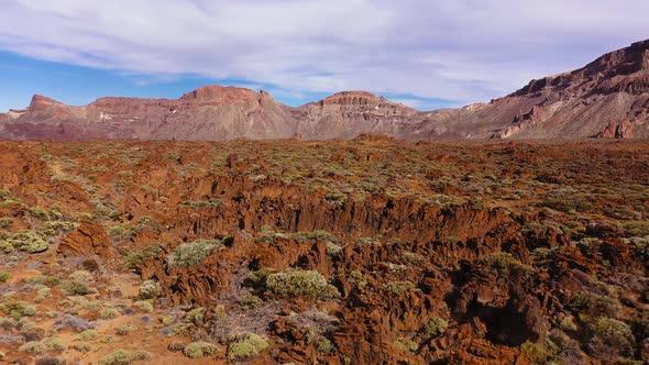 Aerial View of Solidified Lava and Sparse Vegetation in the Teide National Park