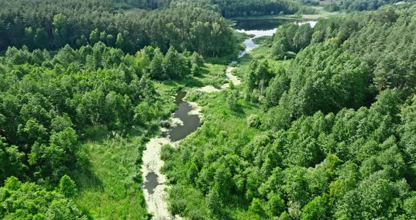 Small river on green swamps. Aerial view of nature