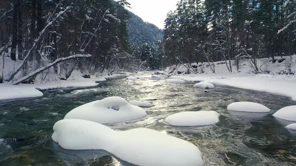 Beautiful Snow Scene Forest in Winter