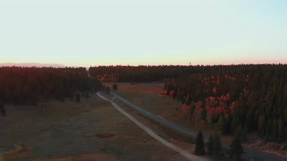 countryside empty road into a wild autumnal forest at sunset hour. drone view