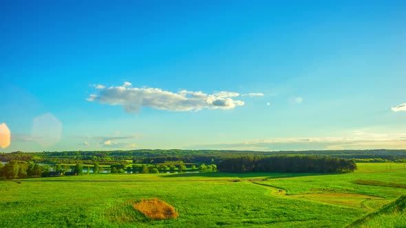 Summer Landscape