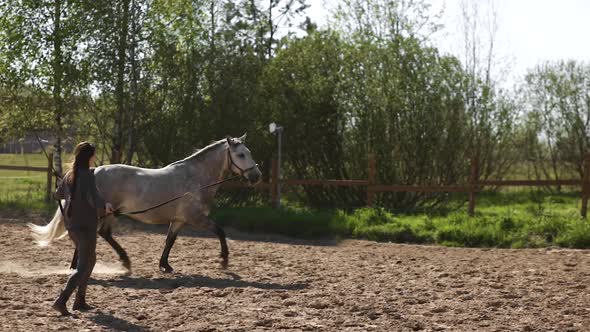 Female Equestrian Working in Hands with Grey Horse