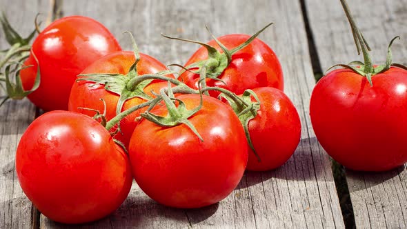 Group of Ripe Juicy Red Homemade Tomatoes on a Wooden Old Background with Green Sprigs in a Round