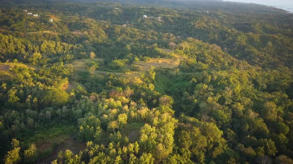 Cinematic view of a vast tropical wilderness during sunset.