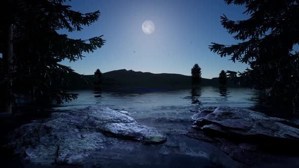 Night Landscape, 3d Animation Background