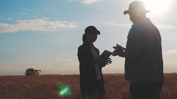 Two Farmers Talking in a Wheat Field Against Blue Sky. Team Farmers Stand in a Wheat Field with