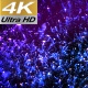 Particles Background 4K - VideoHive Item for Sale