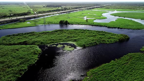 Marshland along the Saint John's River in Cocoa, Florida.