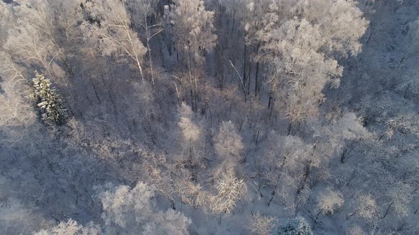 Winter Landscape Countryside