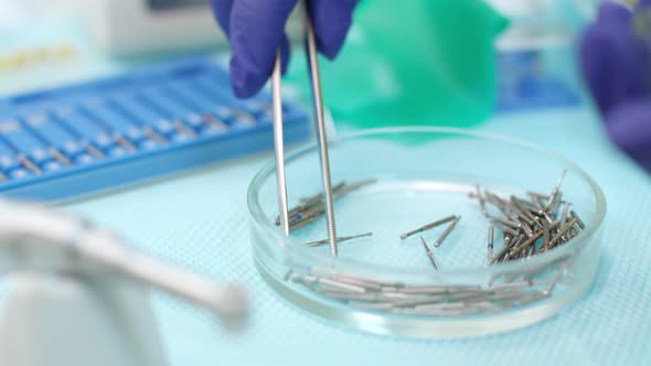 Stomatolog Hand in Latex Gloves Holding Medical Tweezers. Dental Drill Burs